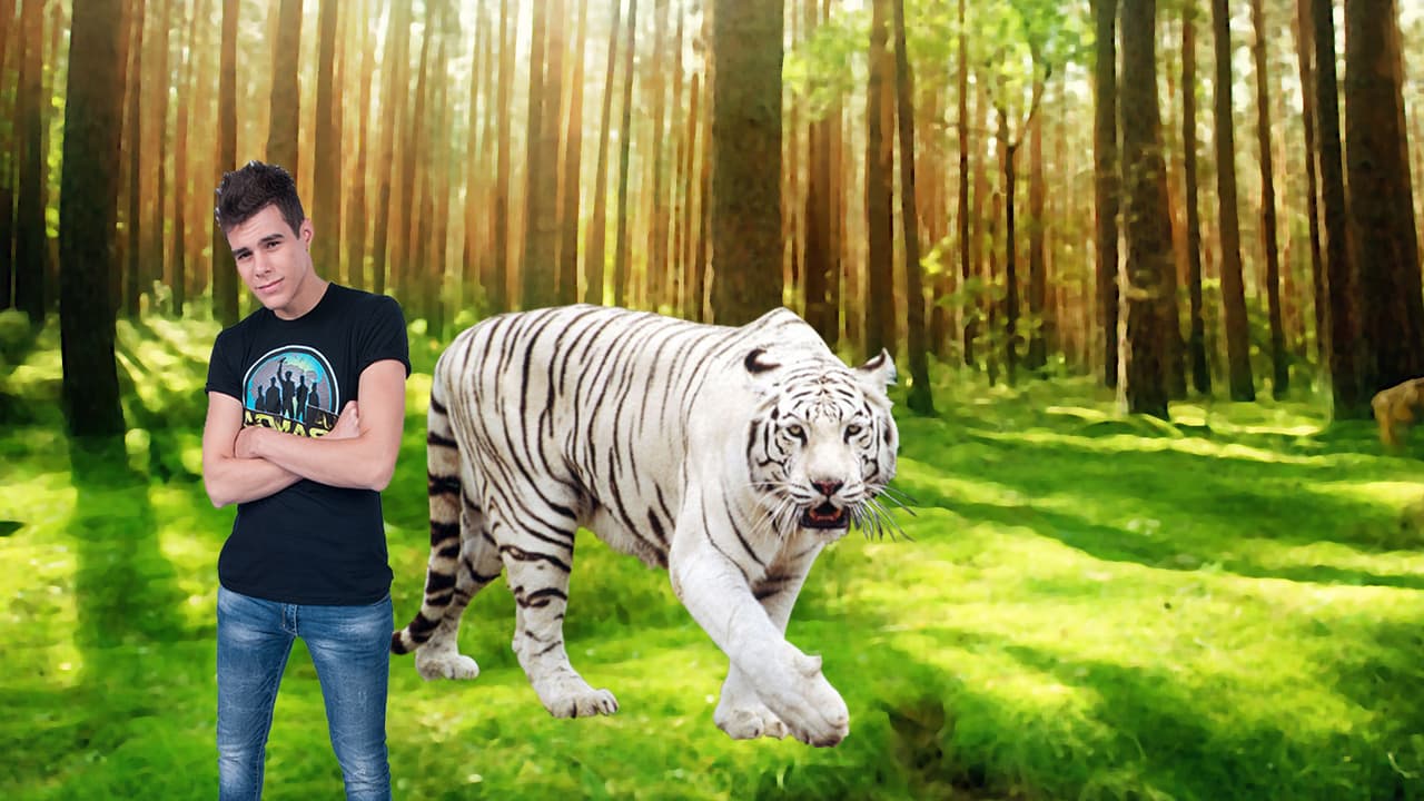 Si su mamá lo dejara, Zabdiel tendría un tigre blanco de mascota.