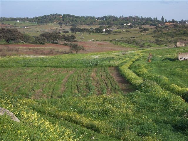 Piden que se engavete medida que duplica costos de registrar propiedades