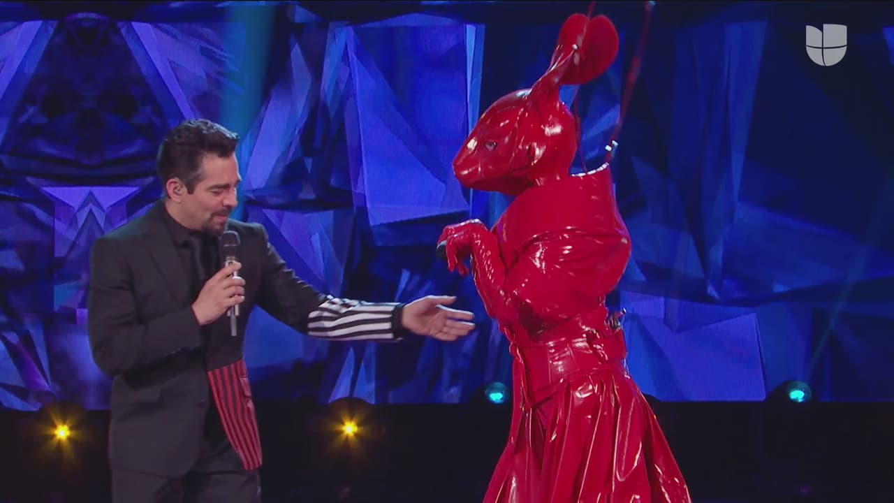 Omar Chaparro es el afortunado de estar hombro a hombro con las impresionantes criaturas. En este tercer capítulo, Conejo y nuestro presentador se pusieron a saltar de alegría.