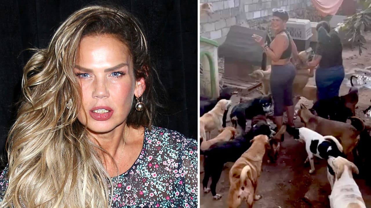 ¿Niurka sacrifica perros para la santería?: supuesta denuncia genera polémica 