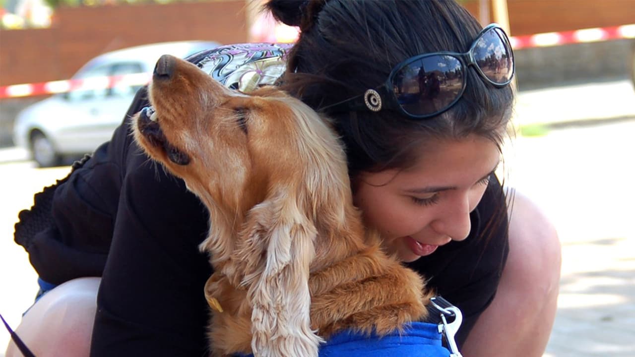 <b>¿Cómo puedes protegerlos?</b>
<br>El 
<b>método más efectivo</b> para tranquilizar a tu mascota es el conocido como 
<b>Tellington TTouch</b>, que consiste en 
<b>“abrazar” a tu mascota</b> con una prenda, 
<b>como o bufanda,</b> que lo cubra 
<b>desde el cuello</b> y baje 
<b>hasta el pecho o el estómago</b>. 
<br>Debes cuidar que sea un 
<b>amarre firme</b>, 
<b>pero cómodo</b>, para que se pueda mover con naturalidad.