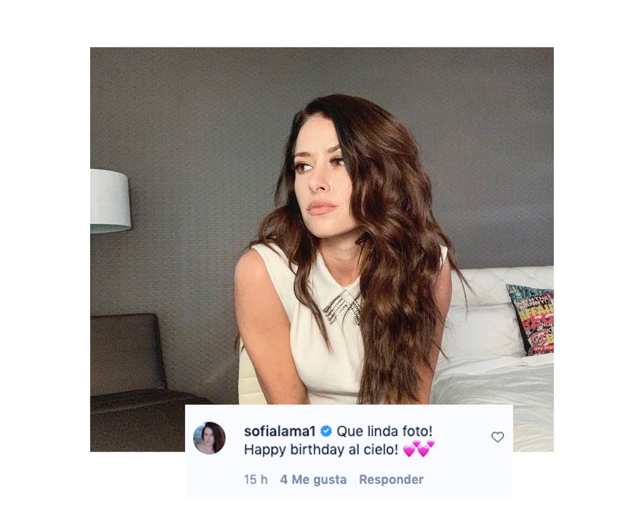 Sofía Lama, con quien compartió créditos en la telenovela Eva luna, protagonizada por Blanca Soto y Guy Ecker, también comentó: "Qué linda foto. Happy Birthday al cielo", escribió.