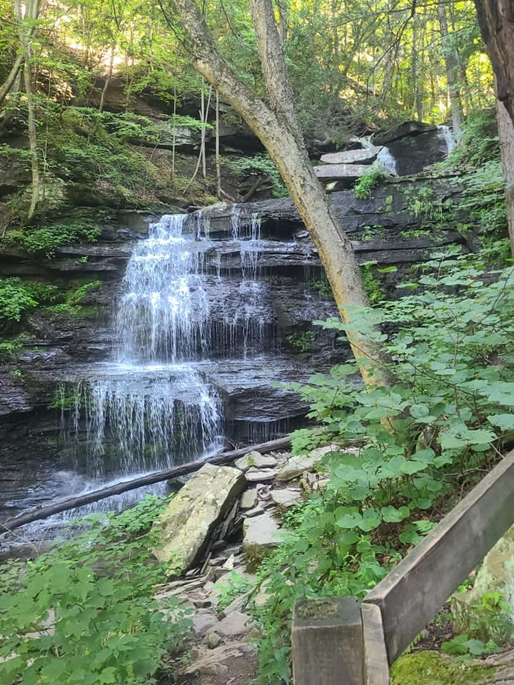 <b><a href="https://www.alltrails.com/es/trail/us/pennsylvania/turkey-path?u=m" target="_blank">Turkey Path Falls:</a></b> Es una de las caminatas para ver una cascada más famosas de Pensilvania. Se encuentra en el condado de Tioga.