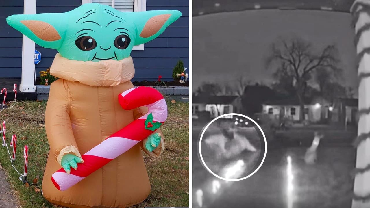 Roban un adorno inflable de baby Yoda en un barrio de Oak Cliff y todo queda en video