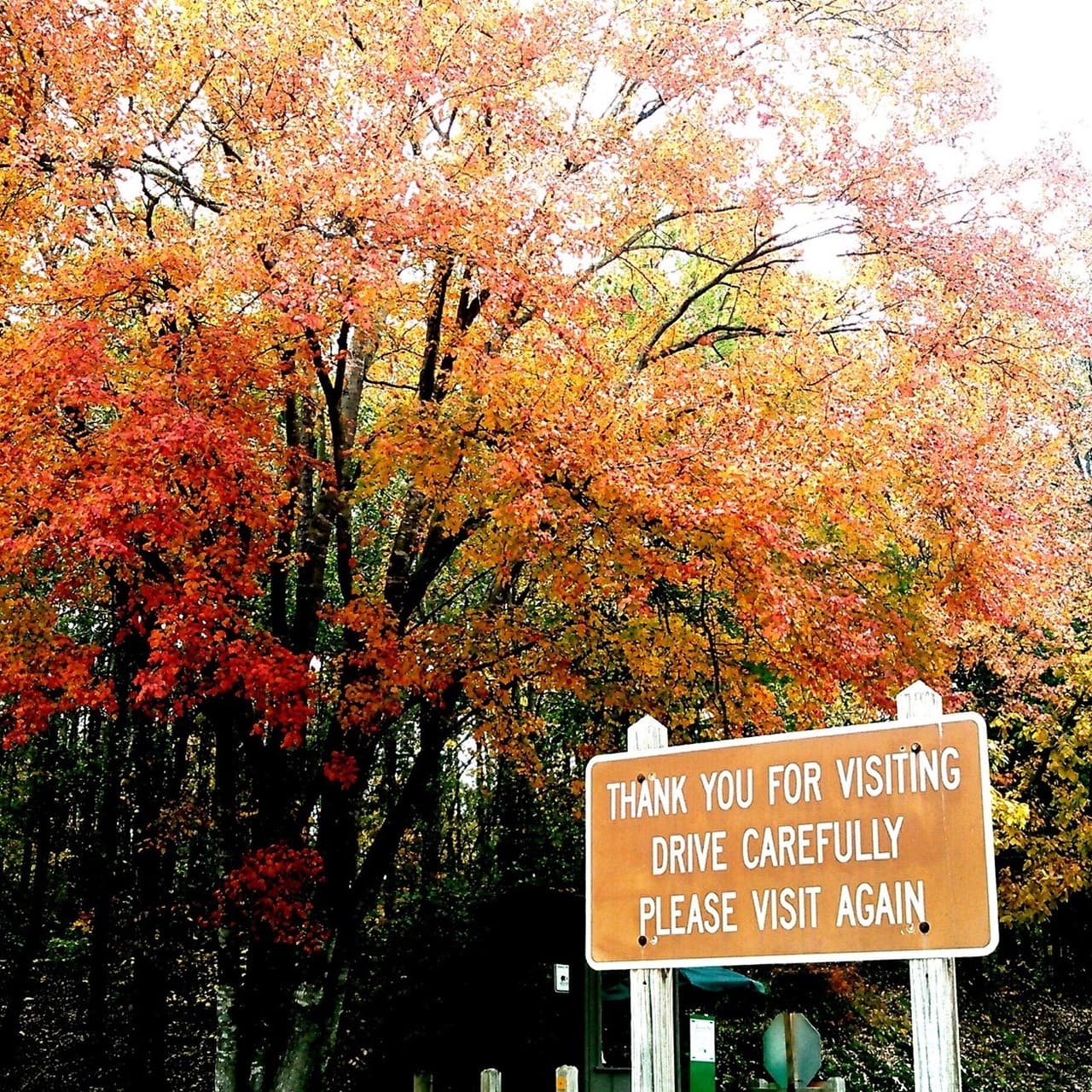 <b>Victoria Bryant State Park</b>. Ubicada a solo minutos de la I-85 en el norte de Georgia, esta pequeña joya bien conocida tiene ocho millas de senderos para caminatas, un bonito arroyo y pequeños estanques de pesca. 
<b><a href="https://gastateparks.org/VictoriaBryant" target="_blank">Está en el 1105 de Bryant Park Road, en Royston. </a></b>