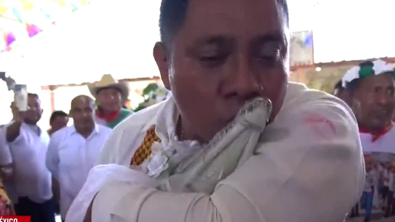 Tradición insólita: Un alcalde se casa con un caimán en México