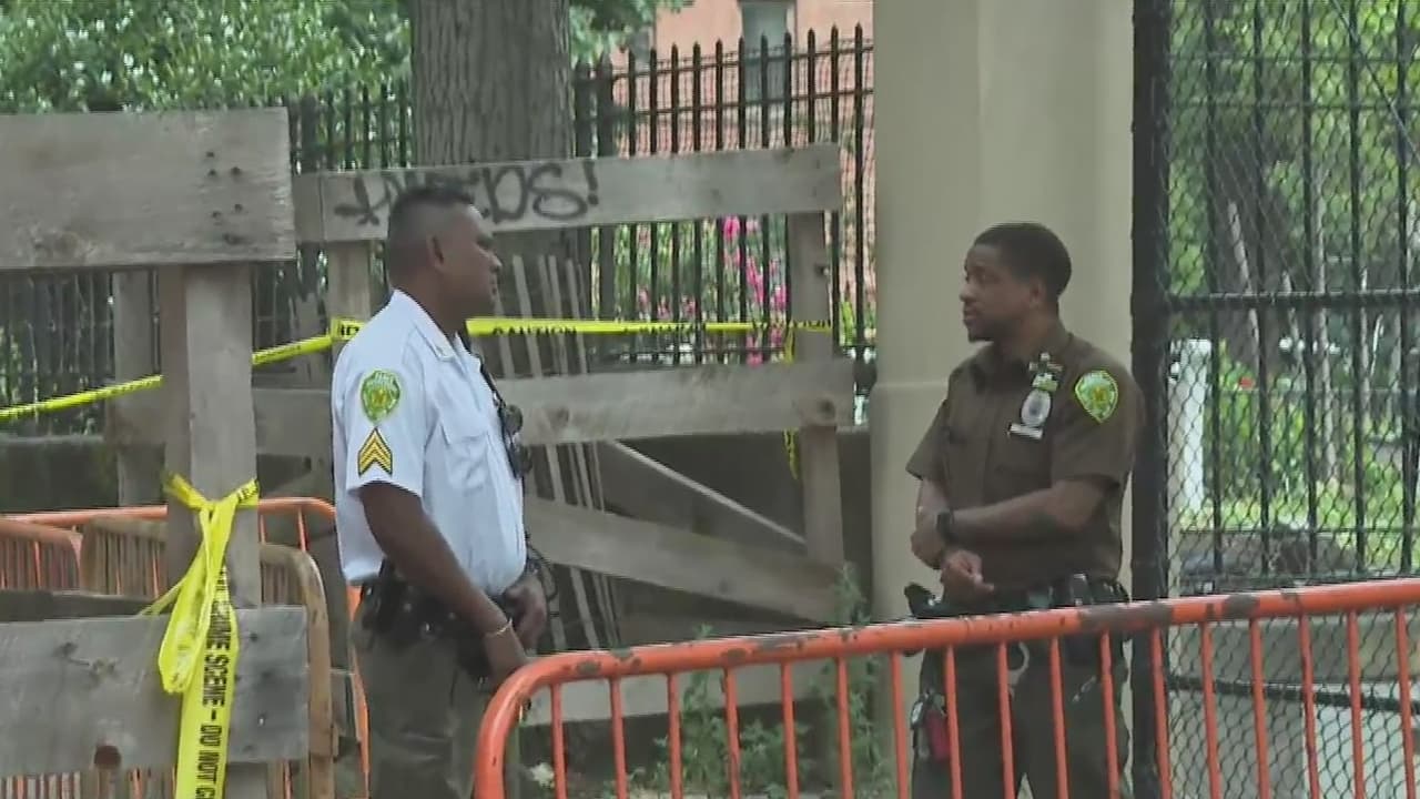 Presunto conductor ebrio arrolla a multitud en parque de Nueva York, dejando tres muertos y ocho heridos