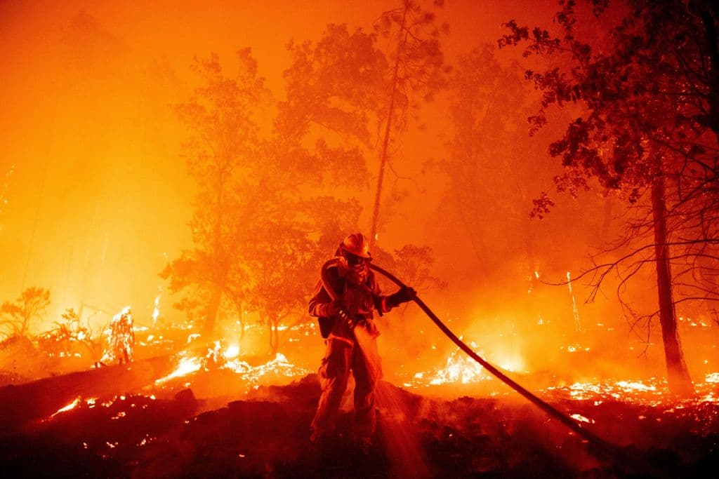 California vive la peor temporada de incendios forestales de su historia y Newsom culpa al cambio climático