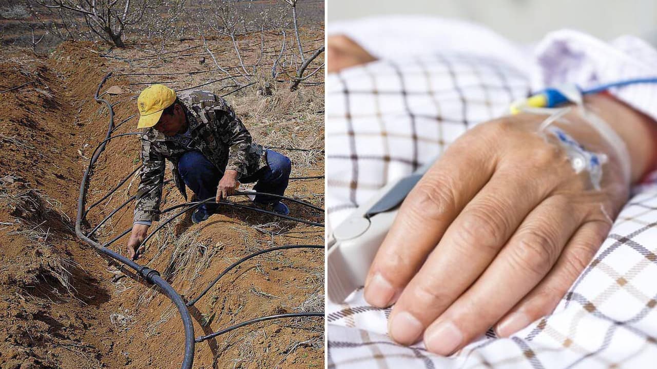 
Aumentan los casos de la fiebre del Valle en California. ¿Qué es esta enfermedad?
