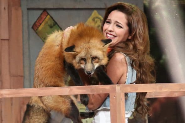 Las chicas superaron sus miedos con un reto bien particular en la cuarta gala. Tuvieron que lidiar con boas, zorrillos, ratas y tarántulas. OMG!