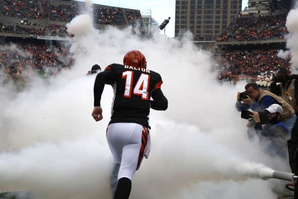 Proyecto de Titulares 2015: Cincinnati Bengals