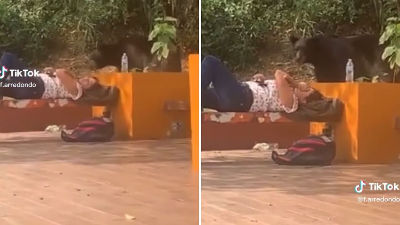 Todo quedó grabado y en días se esparció en redes