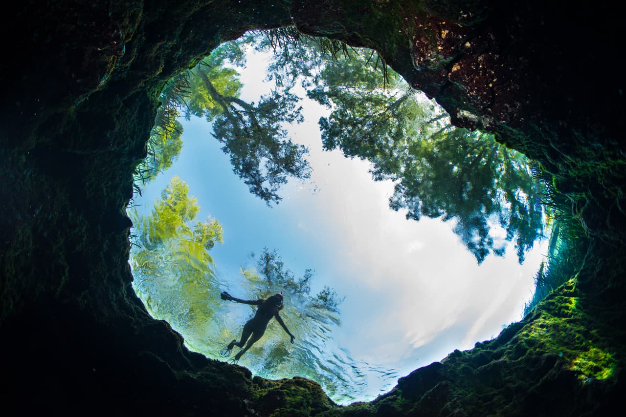 ‘Bailando al borde’. Imagen captada en los manantiales del Parque Estatal Ichetucknee Springs al norte de Florida. Ganadora del segundo premio del concurso.