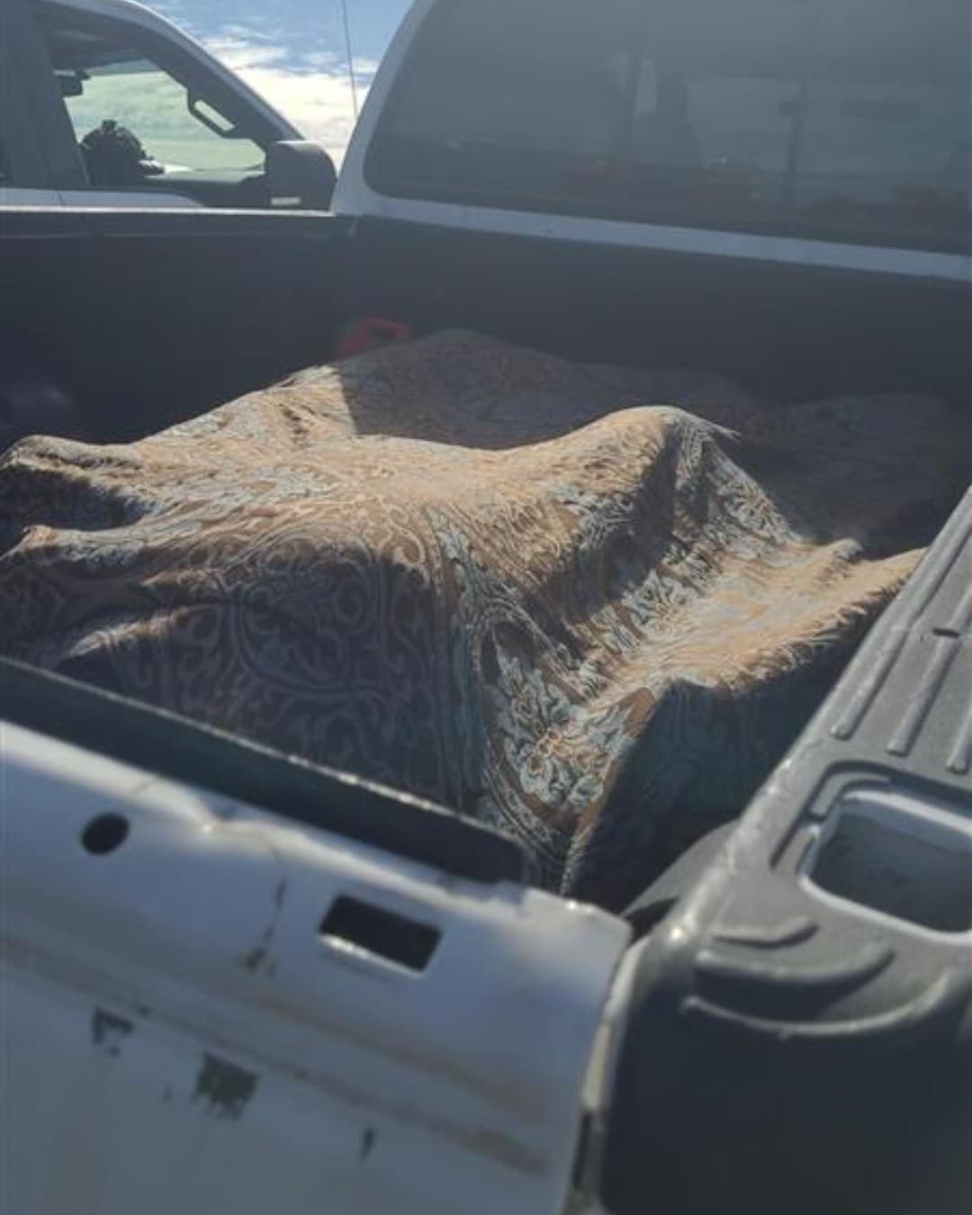 La semana pasada, agentes de la estación Willcox interceptaron dos vehículos donde se intentaba traficar a personas.