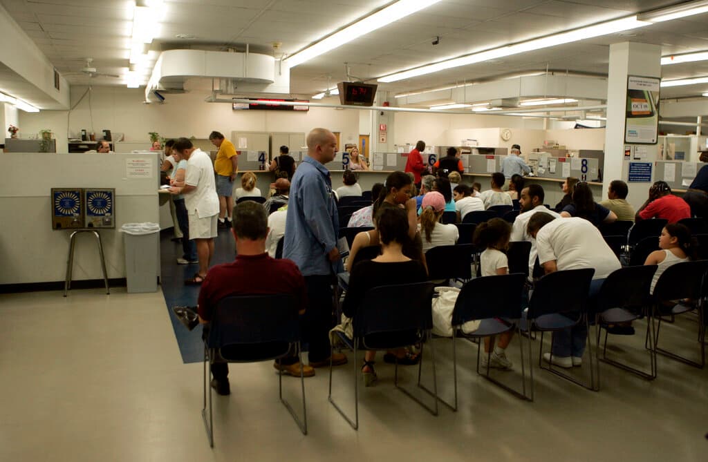 Connecticut tiene una licencia llamada "solo para manejar" que está "diseñada específicamente para personas indocumentadas mayores de 16 años que no pueden demostrar su presencia legal en los Estados Unidos". El departamento de Vehículos Automotores del estado aclara que "una licencia de conducir sin permiso de residencia no es válida como identificación federal y no se puede utilizar para votar".