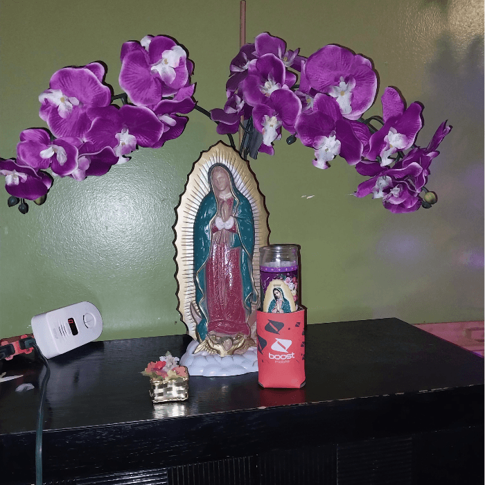 La celebración de 
<b><a href="https://www.univision.com/local/chicago-wgbo/mananitas-virgen-guadalupe-2025-cerrito-tepeyac-des-plaines-illinois" target="_blank">Las Mañanitas</a><a href="https://www.univision.com/local/chicago-wgbo/mananitas-virgen-guadalupe-2025-cerrito-tepeyac-des-plaines-illinois" target="_blank"> para la Virgen de Guadalupe </a></b>ya se acerca y desde hace varias semanas, decenas de devotos han visitado en peregrinación el Santuario de Nuestra Señora de Guadalupe en Des Plaines que ahora se prepara para recibir a los miles de fieles que llegan cada año.
<br>
<br>Sin embargo, algunas personas se han preguntado si la celebración seguirá en pie debido a los recientes operativos realizados en la ciudad de Chicago y sus alrededores.