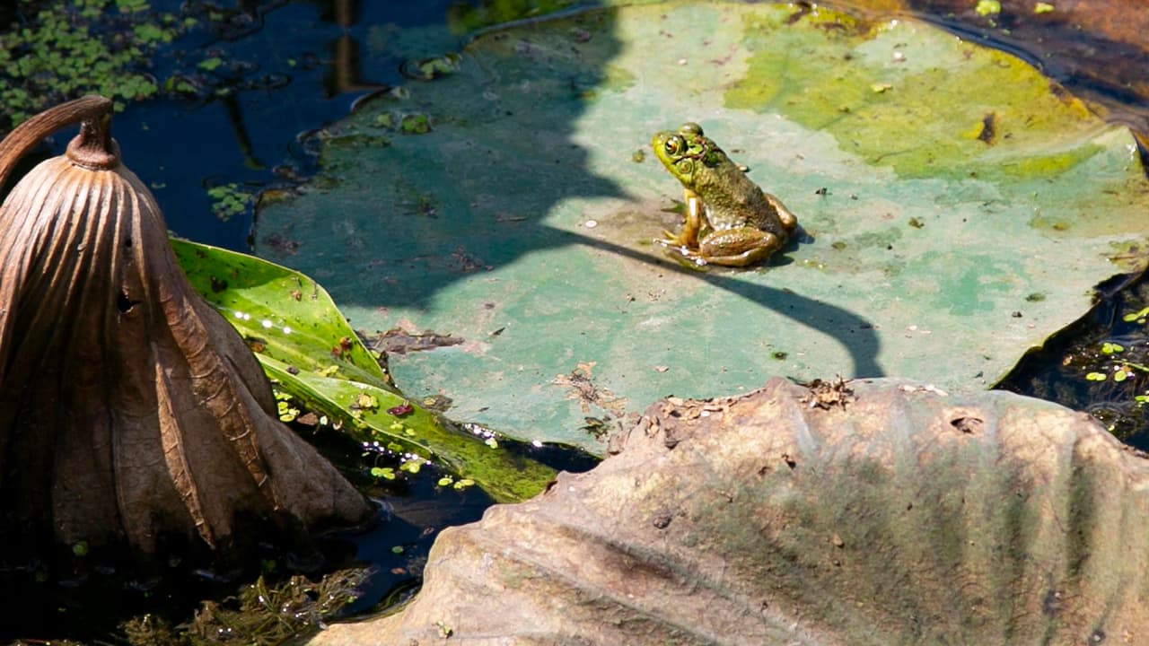 Para aumentar la aventura, los visitantes pueden quedarse a dormir en el parque en campamentos o cabañas.