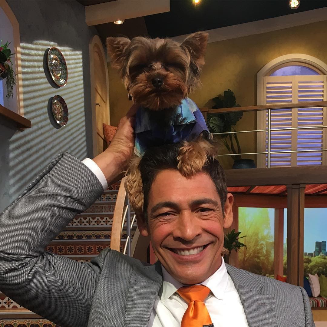 En las redes sociales, Johnny hace de todo para entretener a sus fans.