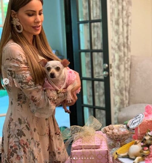 "[...] Yo le hago un cumpleaños a la perra porque puedo. Porque hago lo que me dé la gana con mi dinero. Porque me encanta tener a mi familia y a mi hijo en mi casa gozando de lo que tanto he trabajado [...]", continuó la actriz de 46 años.