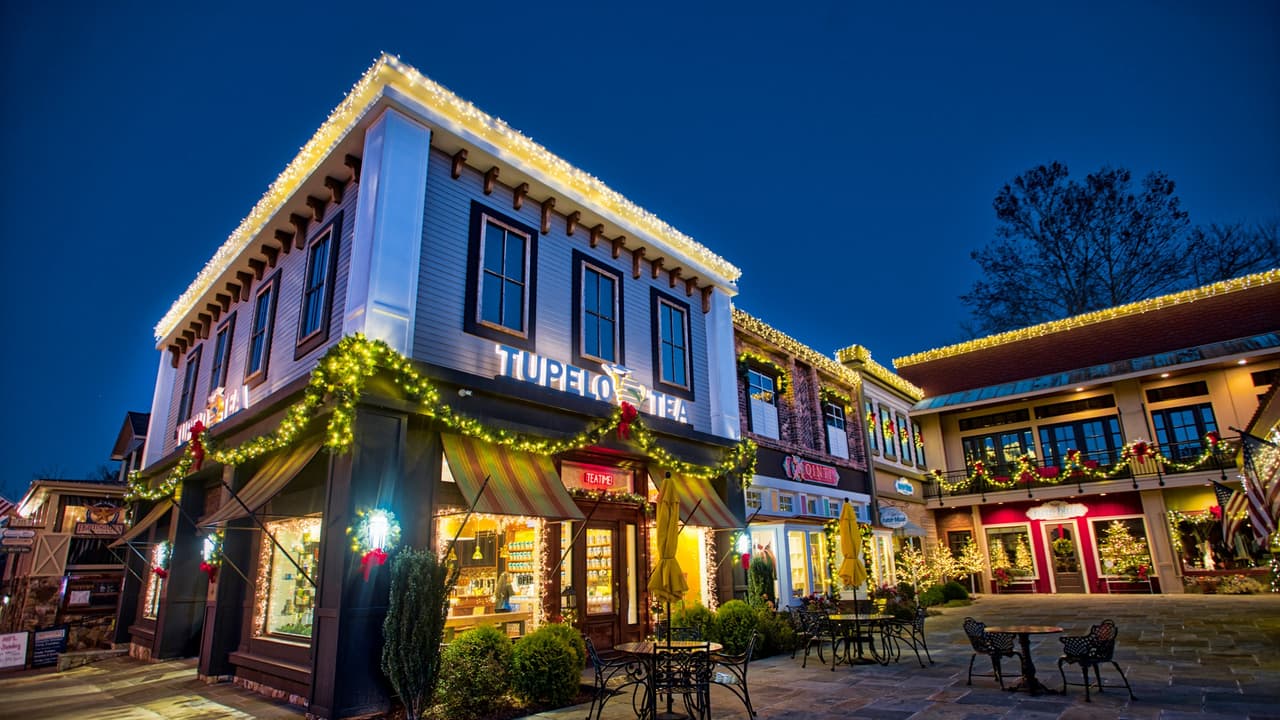 <b><a href="https://goo.gl/maps/CUANBUwKqHuMKqi28" target="_blank">Número 2: Blue Ridge</a></b>. Si estás buscando el auténtico encanto sureño, ven a Blue Ridge.