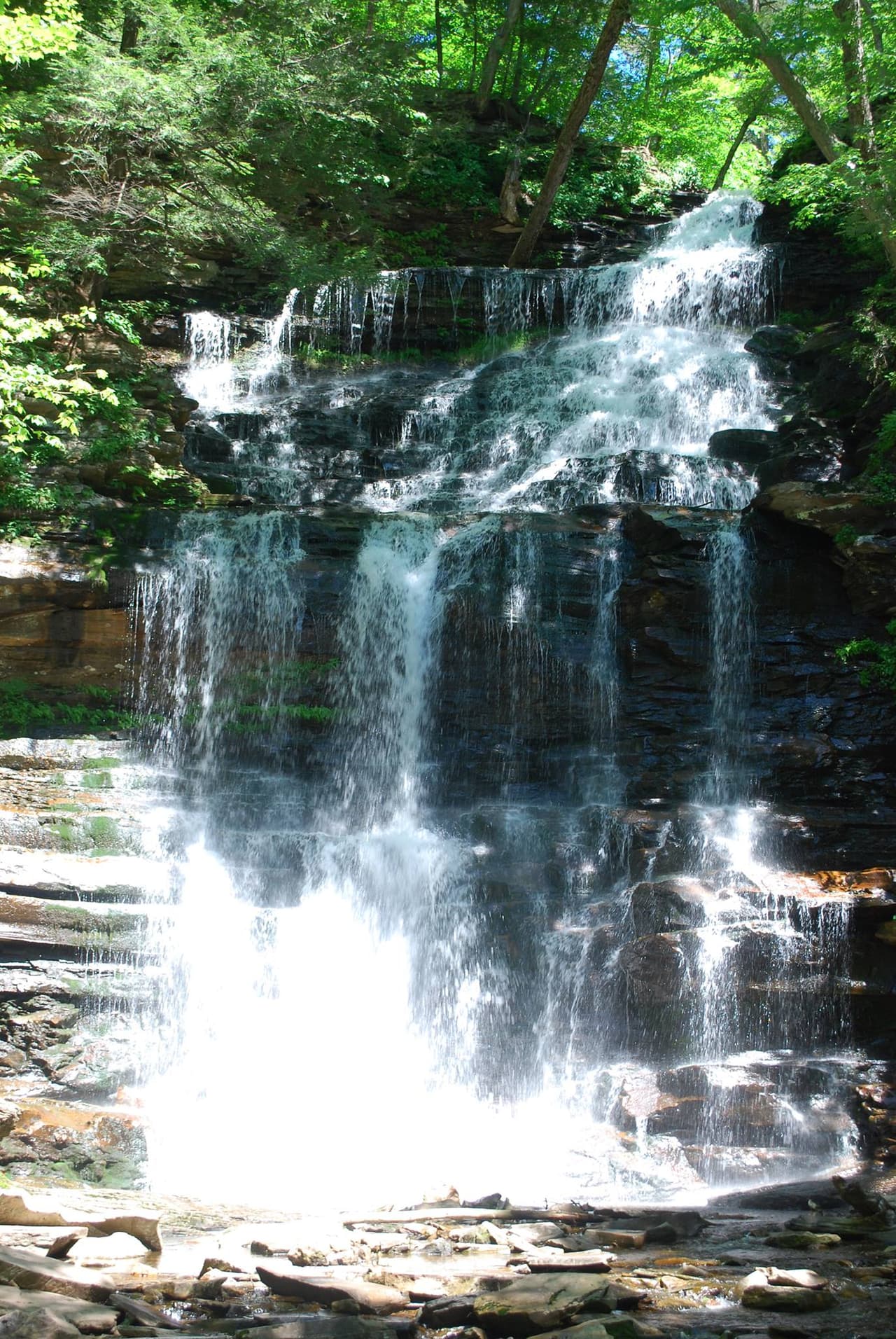 Ganoga Falls es, sin duda, el punto culminante de este sendero lleno de cascadas.