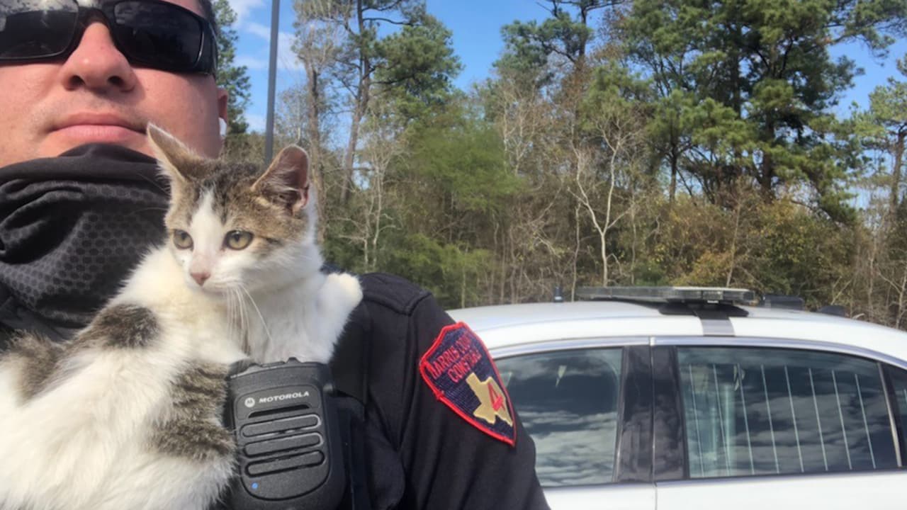 El sargento Baskins y los oficiales Gheen y Riley atendieron al reporte el lunes 28 de diciembre.