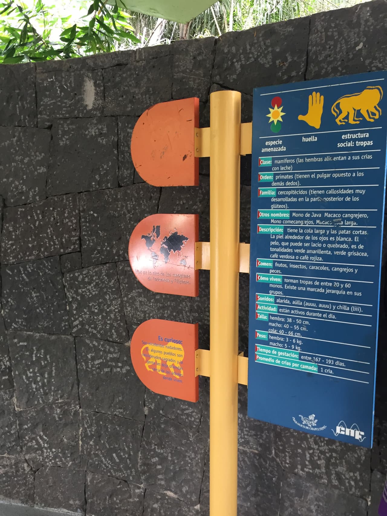 Los señalamientos, sin la información completa de todos los animales.