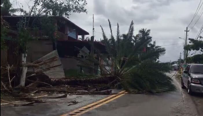 La reportera de Despierta Puerto Rico, Maricarmen Ortiz, visitó la zona de Piñones el jueves por la mañana y envió estas fotos.