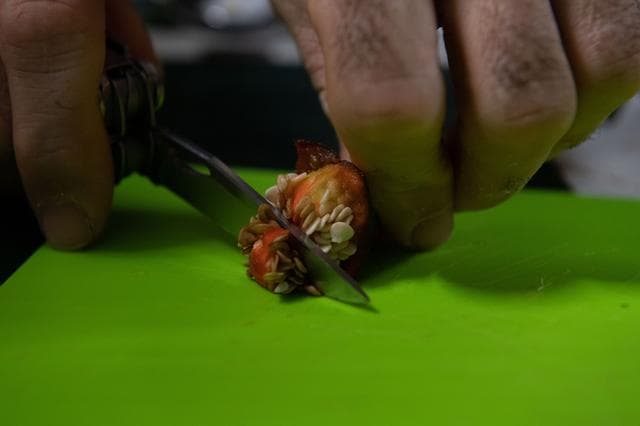 En comparación con los 10 productos espaciales anteriores que los astronautas de la NASA han cultivado y comido a bordo de la estación, el cultivo de chiles ha sido uno de los experimentos más desafiantes, según señala la 
<a href="https://www.nasa.gov/image-feature/astronauts-have-first-taste-of-peppers-grown-in-space" target="_blank">NASA en un comunicado emitido. </a>