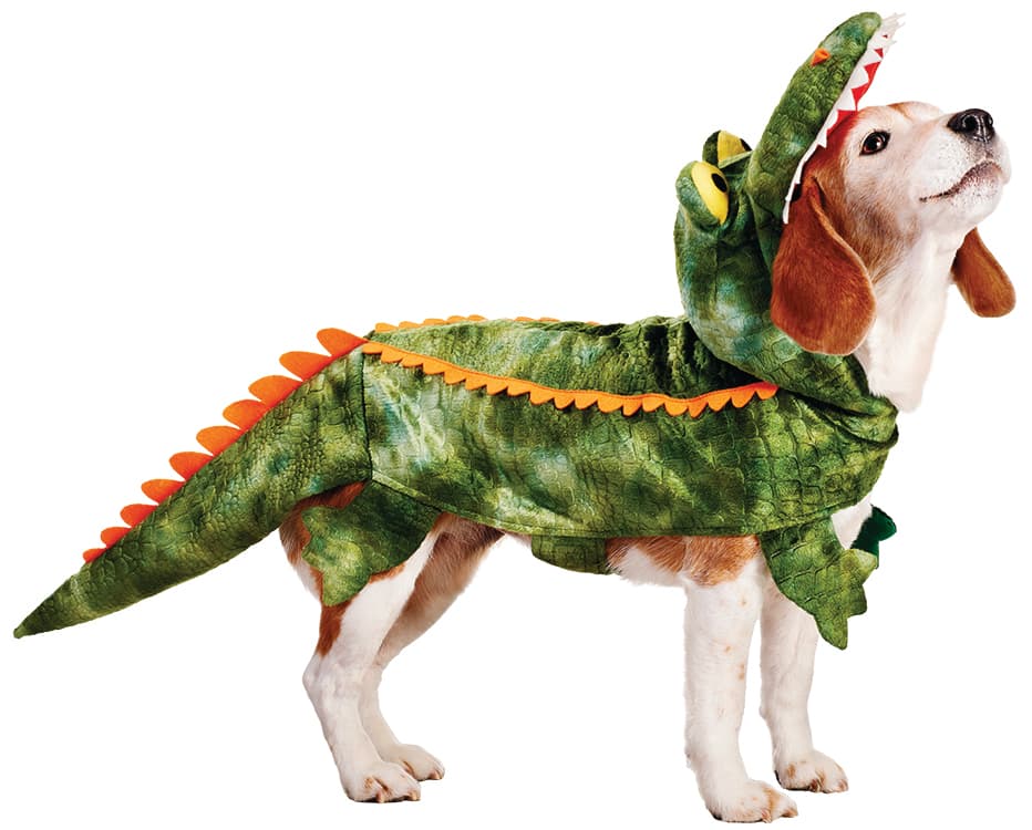 Podrías convertir tu perro en cocodrilo con tan sólo un disfraz.