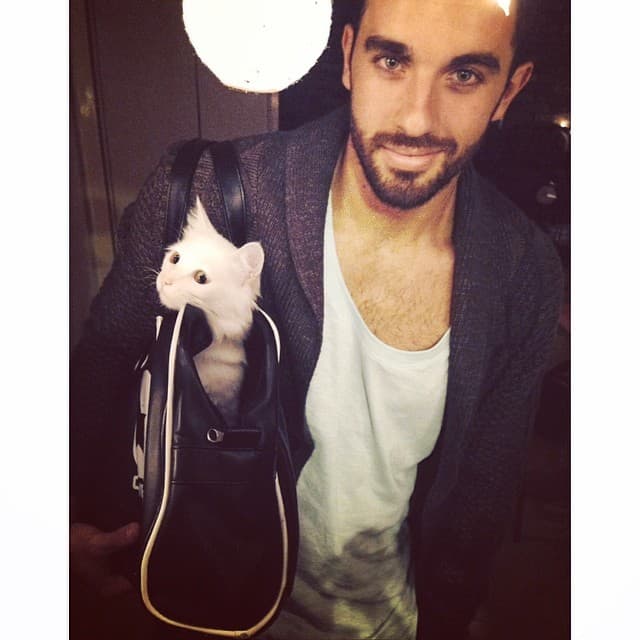 ¿Cuál final te gustaría para su personaje?