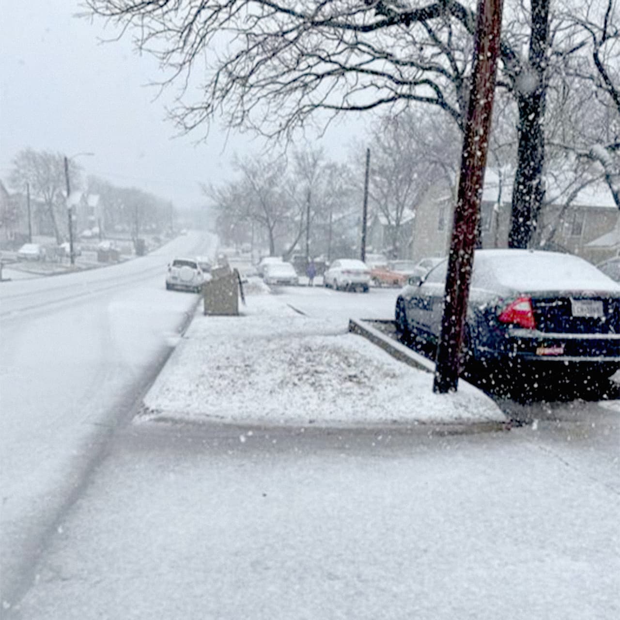 El inclemente clima obligó el cierre de algunas escuelas y oficinas de gobierno. La nieve causó carreteras resbaladizas y apagones, pero algunas familias aprovecharon para disfrutar el clima en zonas como Austin y College Station (en la fotografía).
<br>