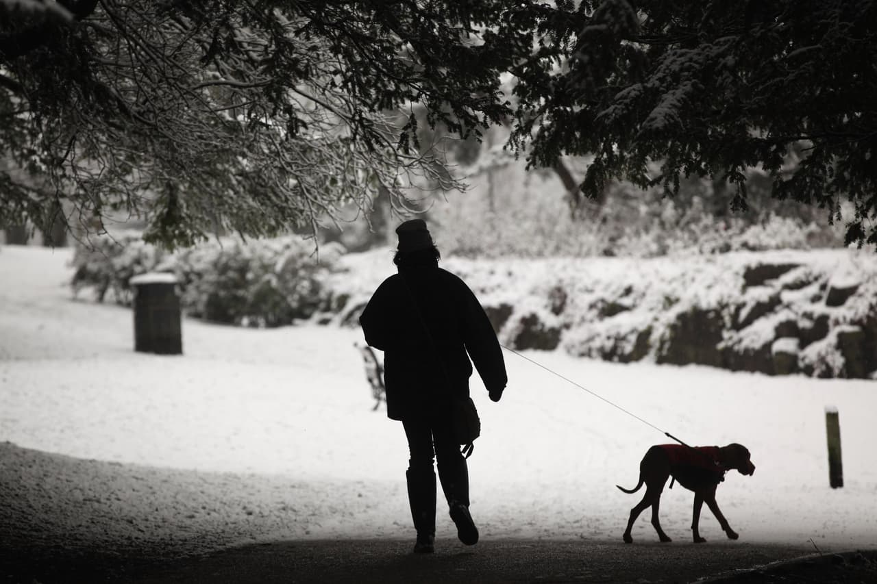 <ul>
<li style="margin: 0px; padding: 0px; border: 0px; font-size: 14px; font-weight: inherit; font-style: inherit; font-family: Antenna, Arial, "Helvetica Neue", Helvetica, sans-serif; vertical-align: baseline; line-height: 1.5;">El<b> </b>ejercicio es bueno en cualquier época del año. Durante temporada de frío <b>le permite entrar en calor y mantenerse en buen estado de salud</b>. Realiza paseos más cortos o bien juega con él en algún parque. Recuerda abrigar a tu mascota de la mejor forma posible antes de salir de casa, ambos tienen que prevenir y abrigarse bien.</li>
</ul>