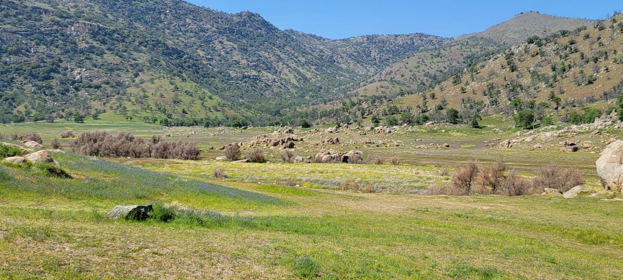 El río se encuentra en una extensa sabana al borde de las montañas al sureste de
<a href="https://www.univision.com/local/fresno-kftv/lagos-puedes-visitar-durante-esta-primavera-en-california-fotos">Fresno</a>.