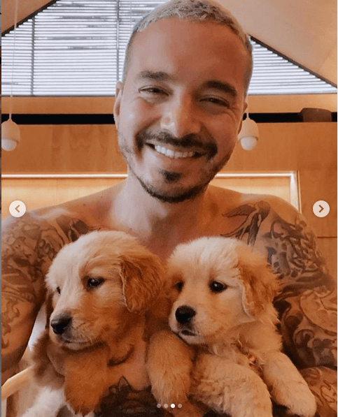 <b>J Balvin</b> es otro que ya sea en foto o video, siempre comparte momentos con sus cachorros 
<b>Paz y Felicidad</b>, los cuales llegaron esta cuarentena a la vida del colombiano.