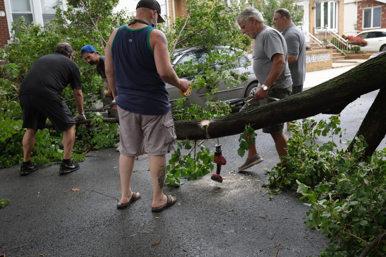 Tormenta tropical Isaías por su paso por el barrio de Brooklyn, donde númerosos árboles caídos se han reportado por daños a autos estacionados.