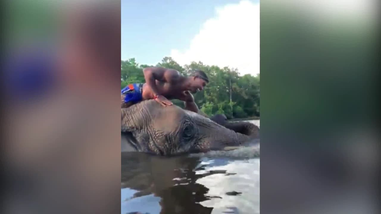  Arrestan al ‘Verdadero Tarzán’: un famoso ‘influencer’ y cazador de pitones en Miami