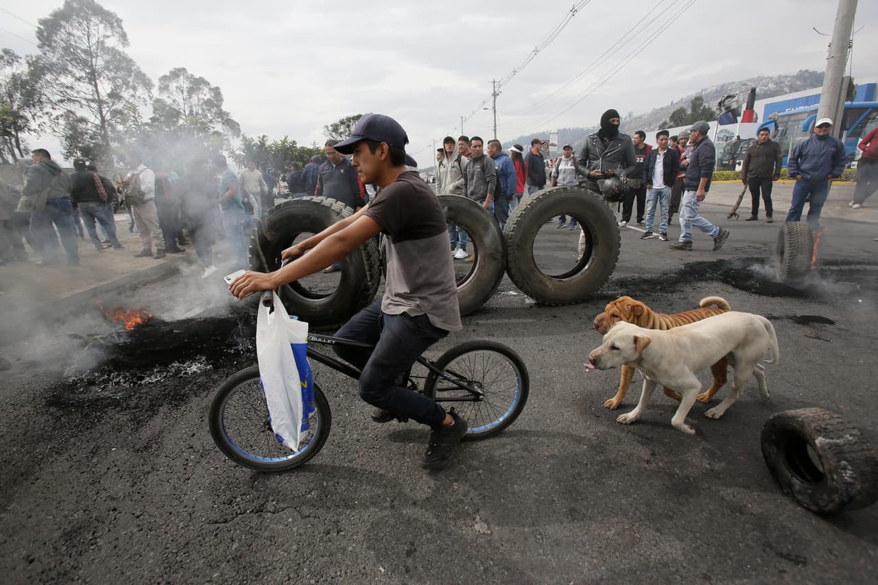 Un joven monta su bicicleta seguido de sus perros, mientras los manifestantes cierran la carretera Panamericana durante una protesta contra la eliminación de los subsidios al combustible anunciada por el presidente Lenín Moreno, en Quito, Ecuador, el jueves 3 de octubre de 2019.