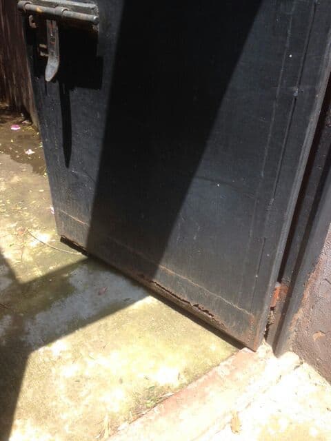 “Otra toma del acceso al área de manejo interior, con el tapete sanitario sin desinfectantes. Observar el estado de total descuido y falta de mantenimiento de la puerta”.