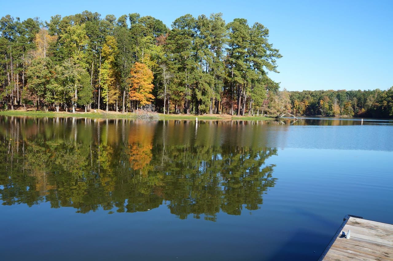 <b>High Point City Lake Park</b>
<br>
<b>Sitio web</b>: 
<a href="https://www.highpointnc.gov/2703/High-Point-City-Lake-Park">https://www.highpointnc.gov/2703/High-Point-City-Lake-Park</a> 
<br>
<b><a href="https://maps.app.goo.gl/fGbe72GerdxStToDA">Cómo llegar</a> </b>
<br>
<br>Este lago urbano permite nadar y pasear en bote a remo, lo que lo convierte en un destino ideal para familias.