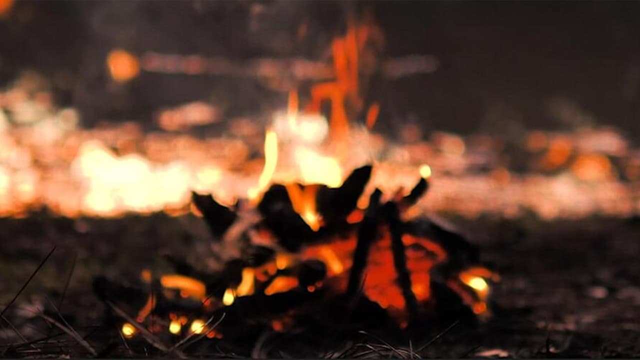 Anuncian restricciones para prevenir incendios en el Bosque Nacional Eldorado