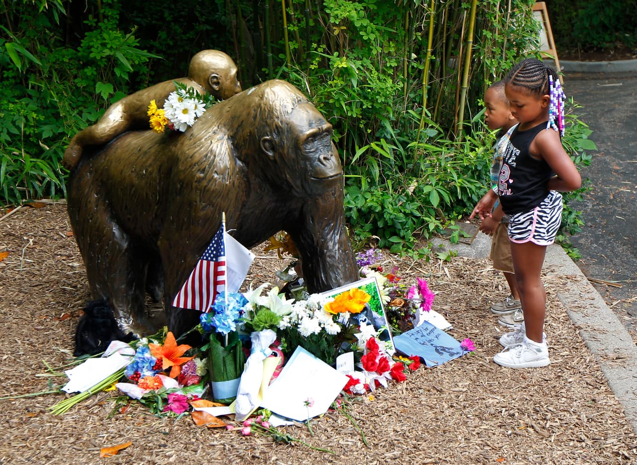 Quién es el francotirador que mató al gorila en Cincinnati
