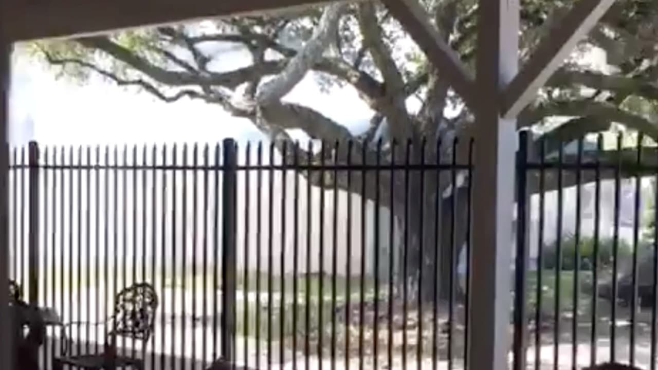 No se reportaron más víctimas.