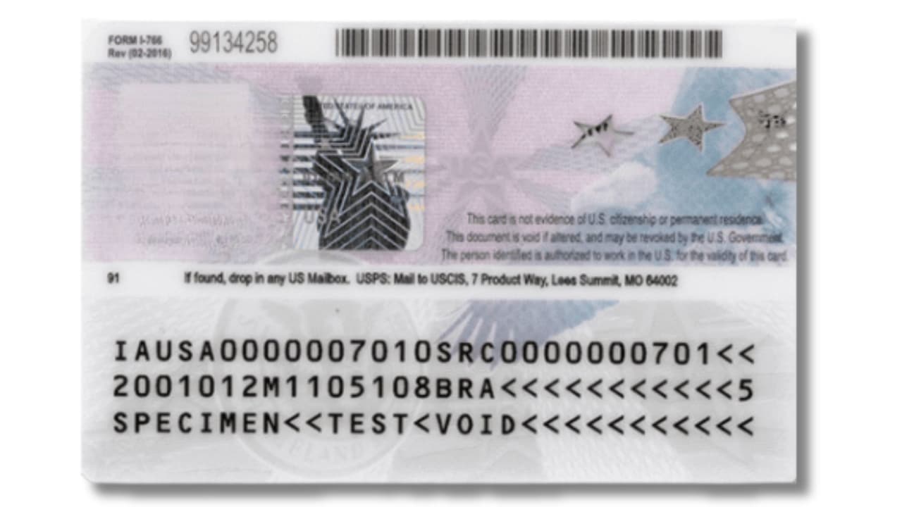 <h3 class="cms-H3-H3">Reverso del EAD</h3>
<br>
<b>Código de barras y banda magnética: </b>Guardan datos cifrados sobre tu autorización laboral.
<br>
<b>Zona de lectura automática: </b>Permite a las autoridades confirmar la autenticidad y validez en segundos.
<br>
<b>Número de documento:</b> Único para esa emisión; distinto al A-Number.
<br>
<br>
<b><a href="https://www.univision.com/shows/noticiero-univision/uscis-modifica-regla-de-visa-laboral-temporal-hijos-de-beneficiarios-se-veran-afectados-video" target="_blank">USCIS modifica regla de visa laboral temporal</a></b>
<a href="https://www.univision.com/shows/noticiero-univision/uscis-modifica-regla-de-visa-laboral-temporal-hijos-de-beneficiarios-se-veran-afectados-video" target="_blank">, los hijos de beneficiarios se verán afectados: Haz clic aquí</a>