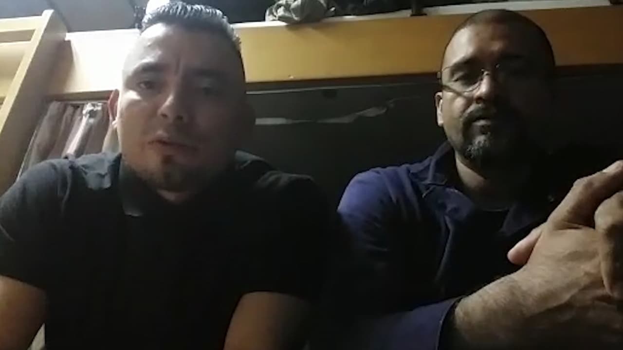 "Nos auxilian por favor a repatriarnos a nuestra tierra": el ruego de tripulantes de un crucero varado en la costa de Florida