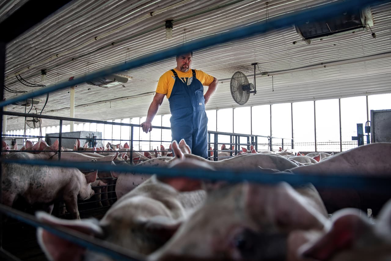 Wiley says he is not interested in aid and says he expects problems to be resolved long before he can no longer make a profit. These agricultural entrepreneurs will lose money if they cannot sell what they produce and if they do not earn enough they will not be able to pay their employees.