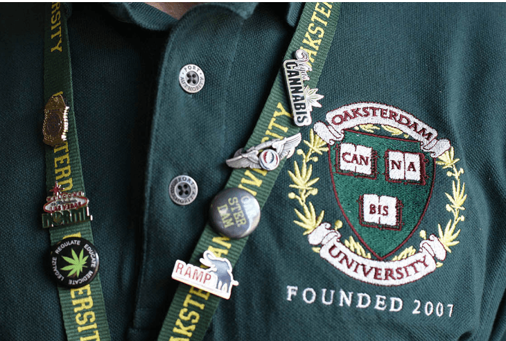 Crece el número de universidades que integran el cannabis en sus programas académicos, con el fin de formar más profesionales para la creciente industria.