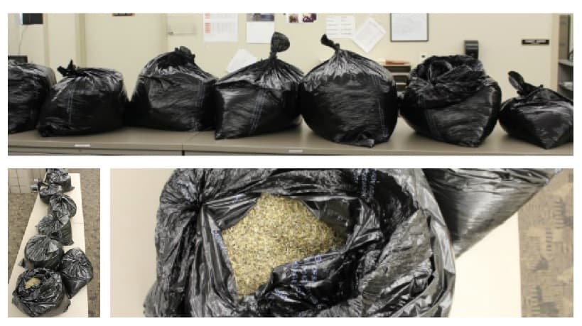 Decomisan en Austin un cargamento de marihuana sintética valorado en más de un millón de dólares