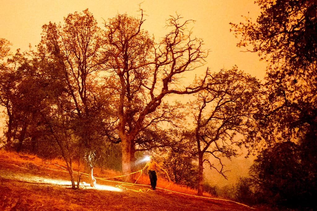 El incendio Colony amenaza el hogar de más de 2,000 secuoyas, aunque no de manera inminente, dijo a la AP Mark Ruggiero, portavoz de los parques nacionales Sequoia y Kings Canyon.