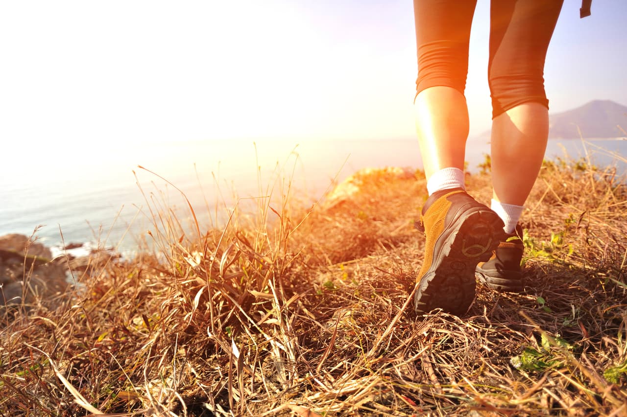 Has estado esperando por el mejor momento para tomar una importante decisión y ese momento ha llegado. Estás muy inspirado y sabes lo que debes hacer para solucionar esas cuestiones del corazón que te habían preocupado. El amor, la alegría y la armonía renacen en tu entorno.